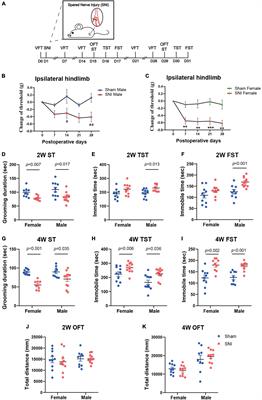 Sex-Specific Transcriptomic Signatures in Brain Regions Critical for Neuropathic Pain-Induced Depression